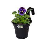 green basics easy hanger small living schwarz